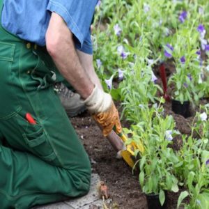 VÊTEMENTS POUR ESPACE VERT